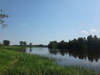 Лесное озеро, берег с зеленой травой и темный лес вдалеке в летний солнечный день
