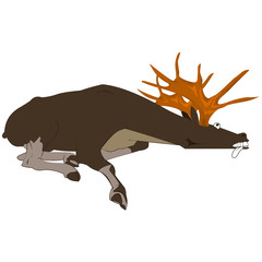 dead moose lying on the ground.Design element in vector