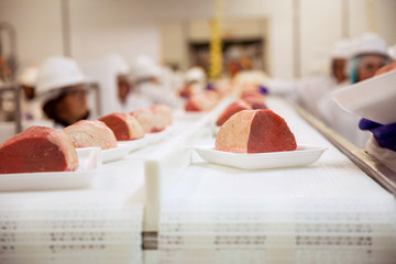 Several chunks of raw meat being processed packaged and shipped