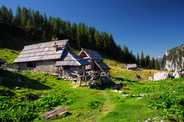 Meadow at the Lake is mountain pasture in Julian Alps, Slovenia.