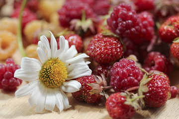 Raspberries strawberries and camomile