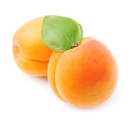 Sweet apricots with leaves fruits close up
