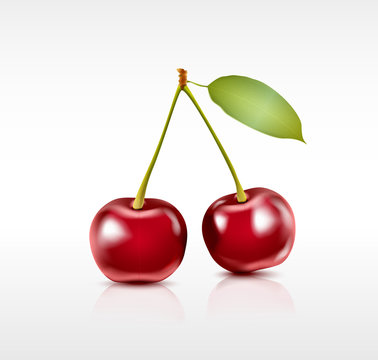 Sweet cherry vector isolated