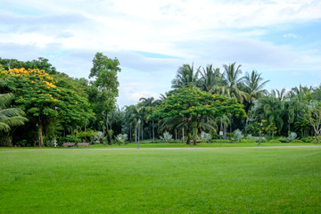 Fototapeta premium Park miejski przy królowej Sirikit parkiem Bangkok, Tajlandia
