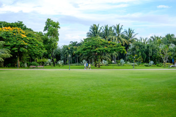 City park at Queen Sirikit Park Bangkok, Thailand