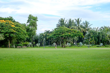 City park at Queen Sirikit Park Bangkok, Thailand