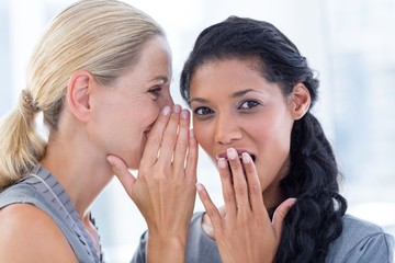 Businesswoman whispering gossip to her colleague