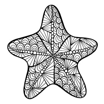 Stylized vector starfish, zentangle