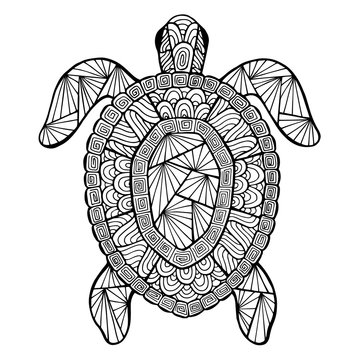 Stylized vector turtle, zentangle
