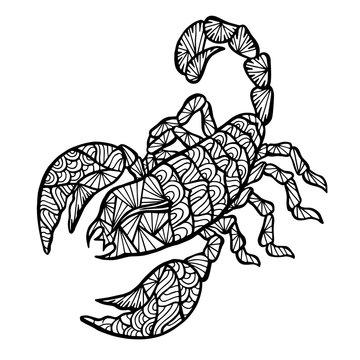 Stylized vector Scorpion, zentangle