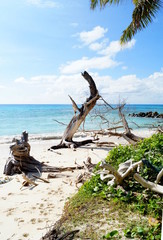 Sandstrand im Paradies im indischen Ozean