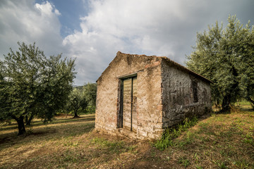 Obraz premium Casetta tra gli ulivi