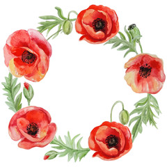 Vector frame with red watercolor poppy flowers.