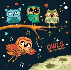 Obraz premium Collection of owls in the night
