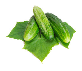cucumber