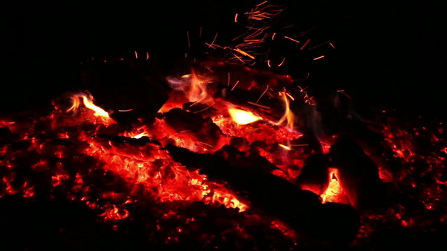 Bonfire in the forest during night at the summertime.
