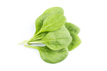 Green spinach on a white background