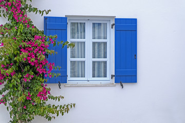 Fenster  mit Bougainvillea