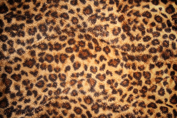 Hide of leopard pattern for background and texture