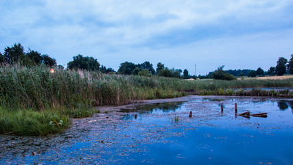 Brzeg stawu w urocze scenerii zachodu słońca