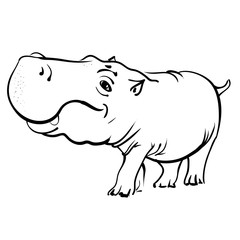 Hippopotamus