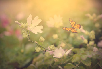 Photo of a beauty floral background with butterfly