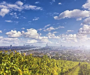 Zelfklevend Fotobehang Uitzicht op de rivier de Donau en de skyline van Wenen met wijngaarden aan de voorkant © Creativemarc