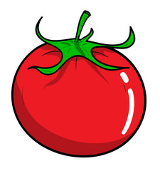 Tomato, a hand drawn vector illustration of a fresh tomato, isolated on a white background (editable).