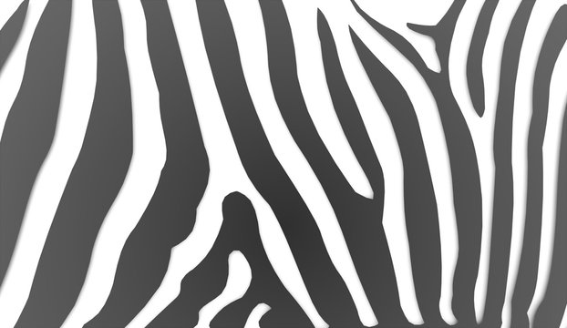 Zebra Stripes rendered