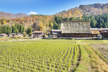 Obraz na płótnie Canvas Traditional and Historical Japanese village Ogimachi - Shirakawa