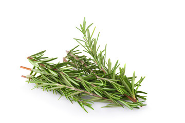 rosemary isolated on white background