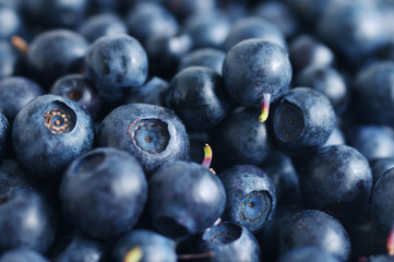 Fresh berries of bilberry. Background from bilberry