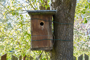 Bird house