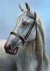 Plakat Лошадь