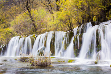 Arrow bamboo waterfall jiuzhaigou scenic