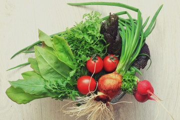 vegetables background radish onion tomato herb