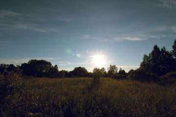 landscape field forest grass