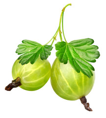 Two gooseberries
