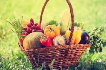 Basket With Fresh Organic Vegetables