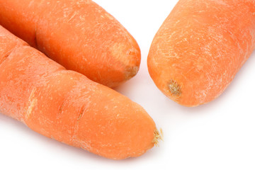 Karotten Nahaufnahme