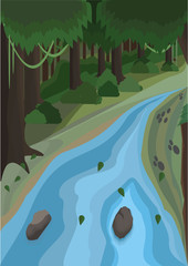 stream in the forest scene