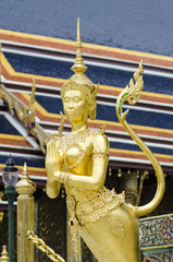 Golden Kinnaree (half woman - half bird)