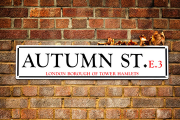 Autumn street and autumn leaves