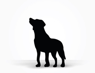 dog silhouette