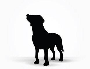 dog silhouette