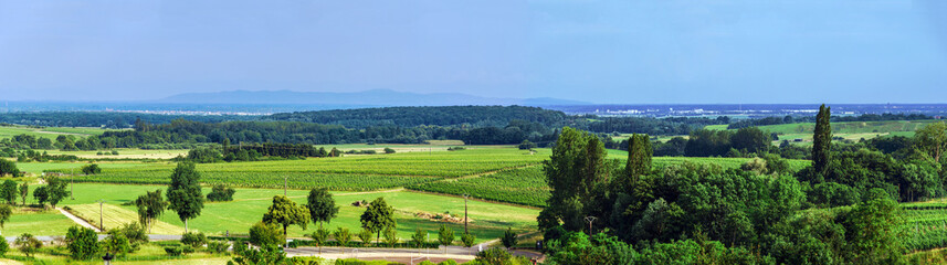 Fototapeta na wymiar Beautiful panoramic view of alsacien fields