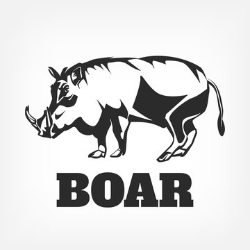 Boar. Vector black illustration
