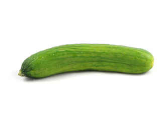 Gurke - freigestellt