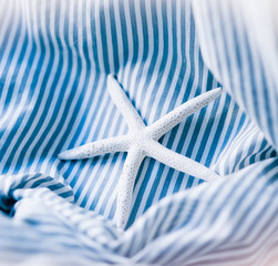 starfish on a blue striped background