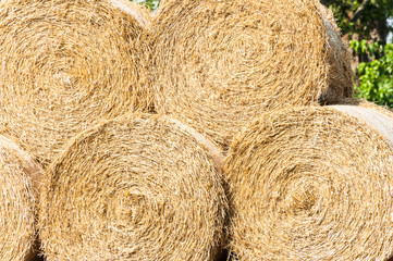 Hay bales
